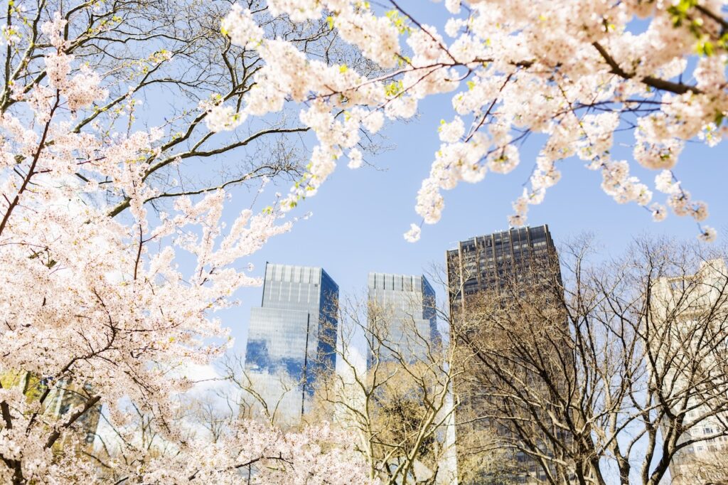 nyc in spring